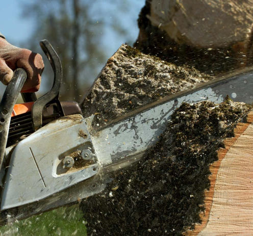 This is a picture of one of the tree removal projects of NWA Brothers Tree Service.